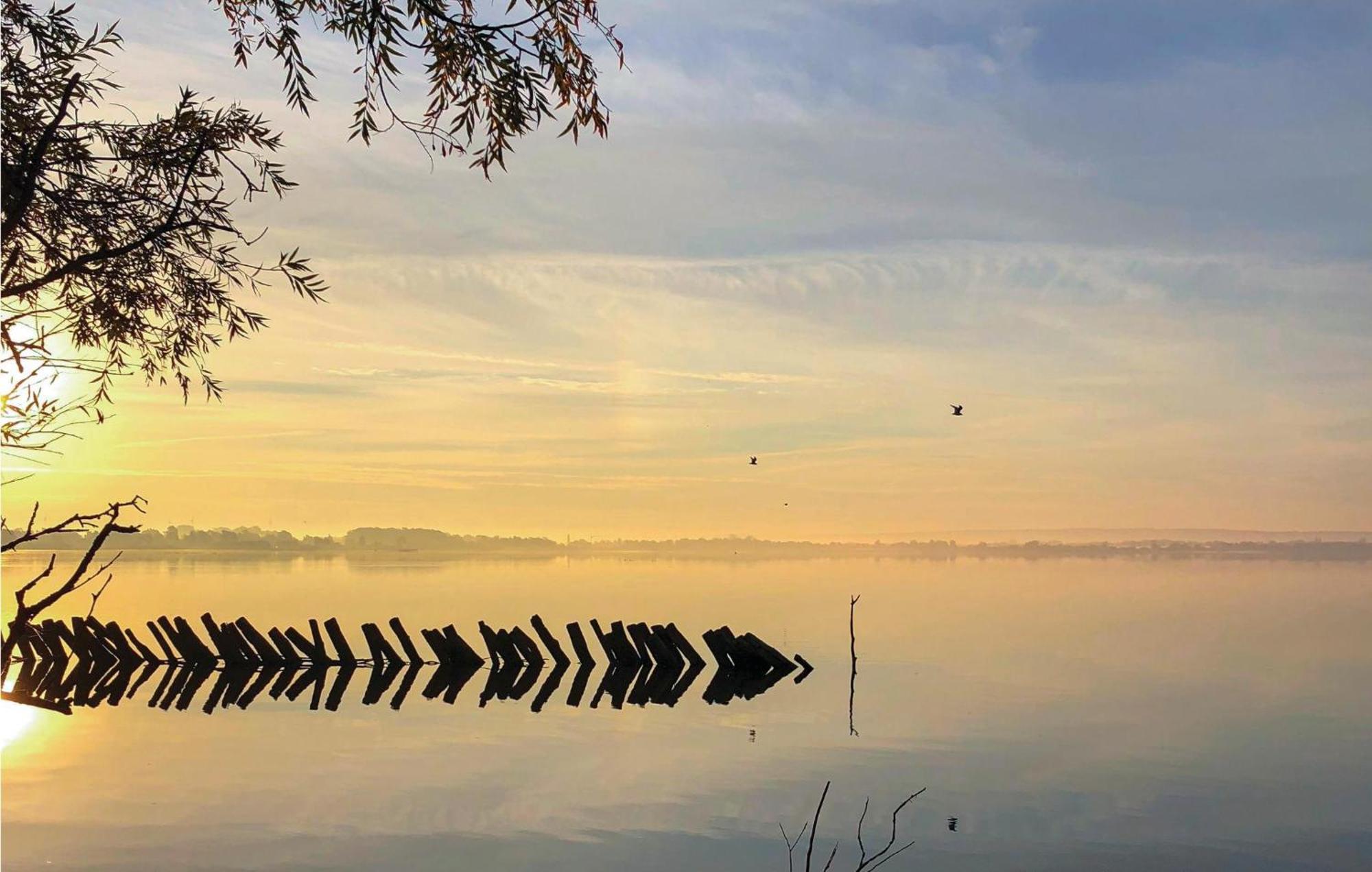 Beach Front Home In Lembruch-Duemmer See With Wifi Luaran gambar